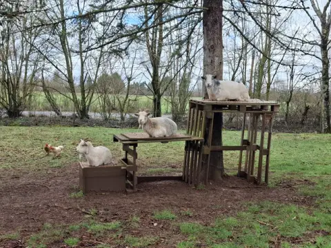 Camping Au Tour de l'Aveyron