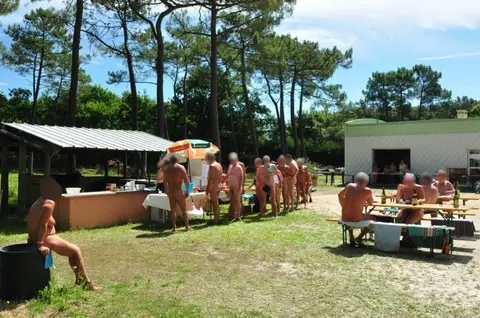 La Pinède
