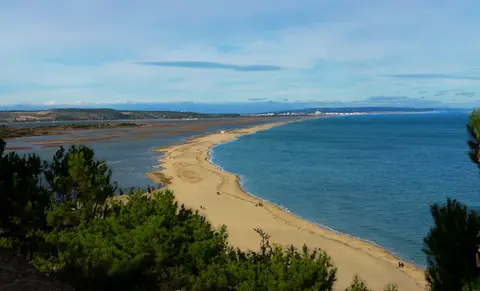 Le Clapotis
