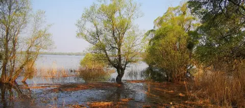 Aux Rives du Lac