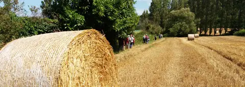 Camping municipal Le Ouern