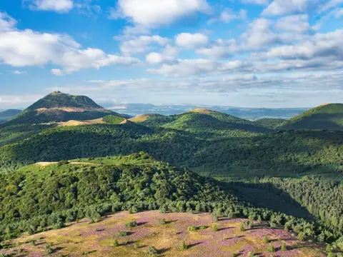 La Sapinière