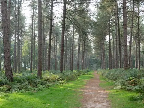 Camping Bosrand