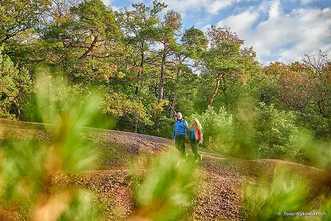 Trekking Pfalz: Imsbach