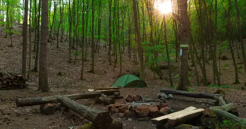 Trekking Pfalz: Imsbach