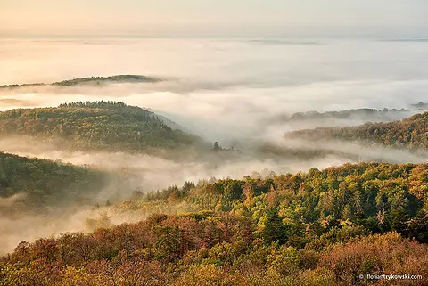 Trekking Pfalz: Imsbach