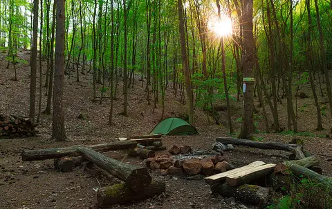 Trekking Pfalz: Imsbach
