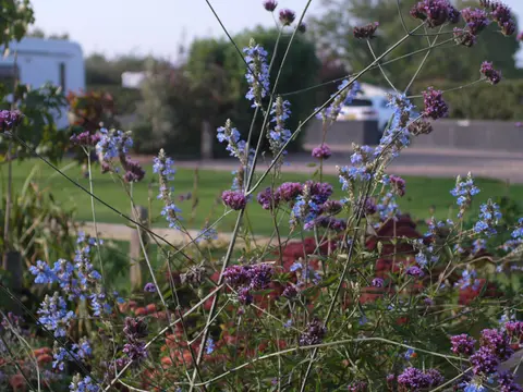 Ross Park