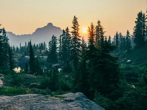Camping la Châtaigneraie