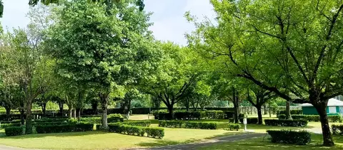 Camping du Rouergue