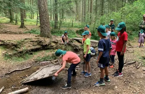 Ardennen camping Bertrix