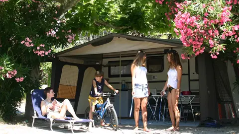 Royal Camping
