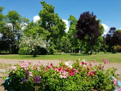 Camping de l'Ardan