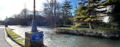 Les Platanes
