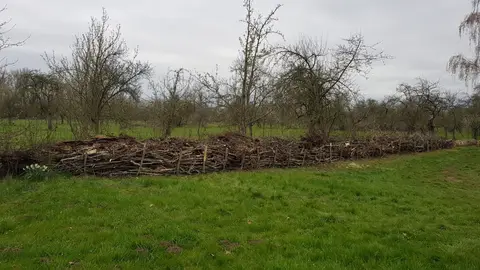 Zeltwiese Bootshaus Bad Dürrenberg