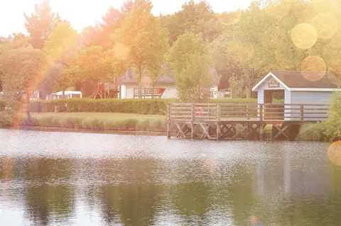 Camping de la Forêt