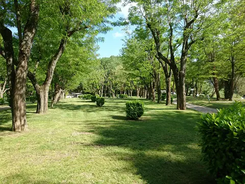 Camping l'Île