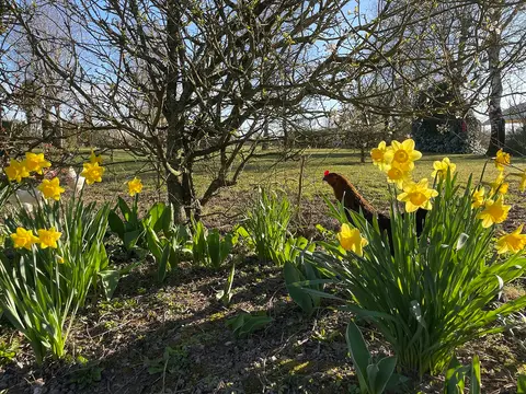 La Paille Haute