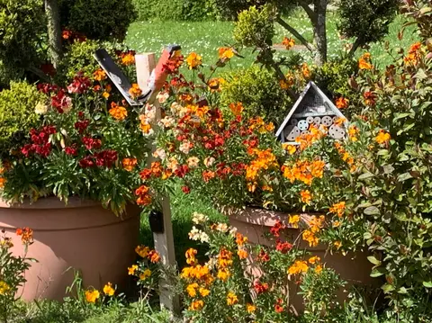 La Paille Haute