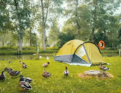 Camping Groeneveld