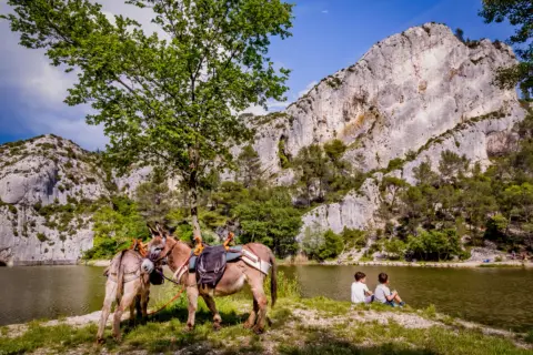 Camping Porte des Alpilles