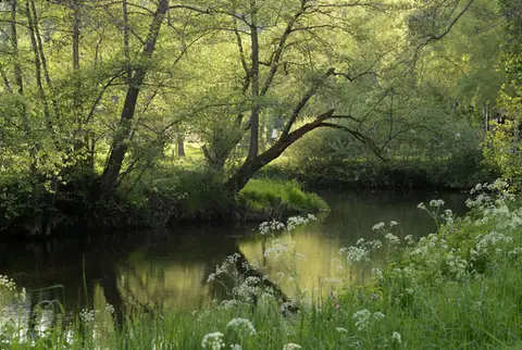 Camping de la Palle
