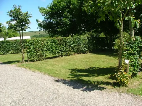Les Acacias