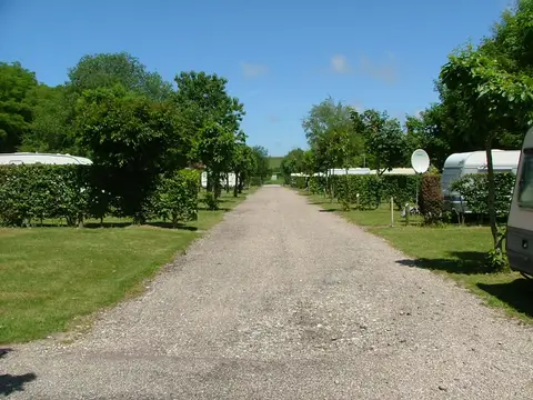 Les Acacias