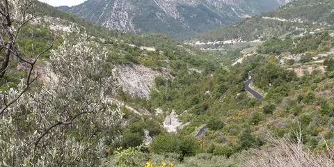 Les Éphélides