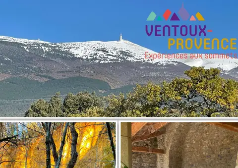 Camping Le Brégoux