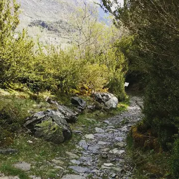 Càmping Taüll