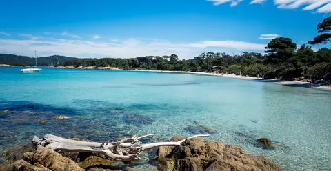 Les Pins Maritimes
