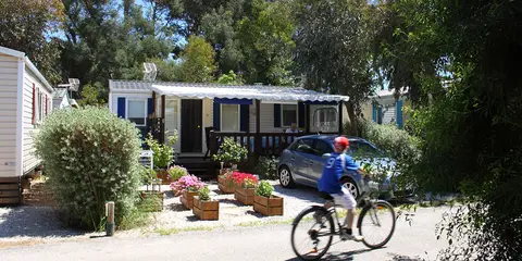Les Pins Maritimes