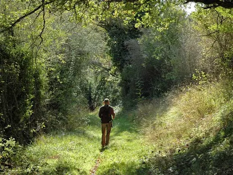 Le Chant-hibou