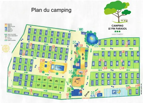 Le Pin Parasol