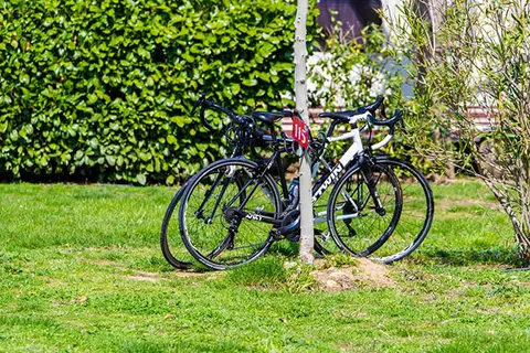 Camping Les Cerisiers