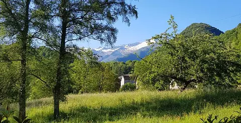 Le Montagnou