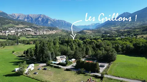 Les Grillons