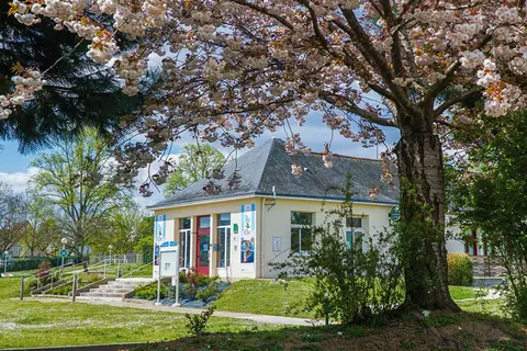 Camping de l'Île d'Or d’Amboise