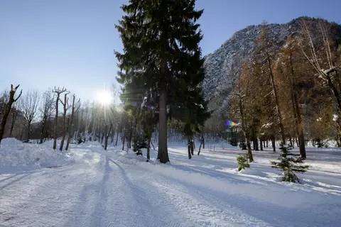 Campeggio Alagna