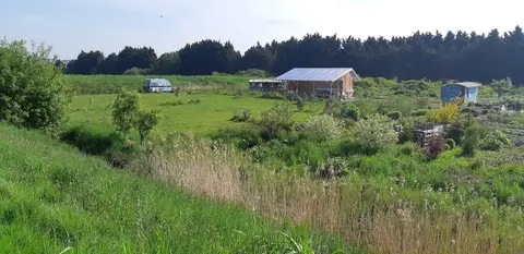 TentindeTuin