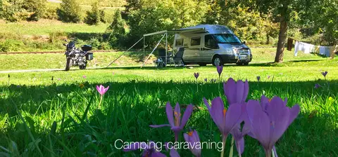 Camping le Gave d'Aspe