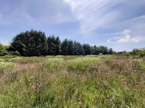 Hentervene Holiday Park