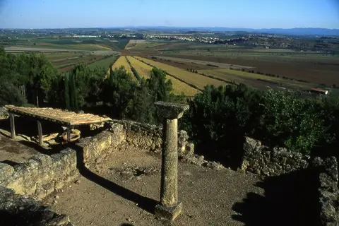 Les Cerisiers du Jaur
