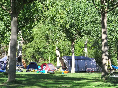 Càmping Noguera Pallaresa