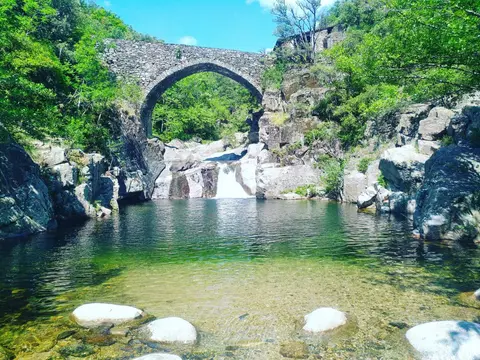 Camping le Mas du Serre