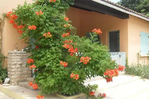 La Coronne