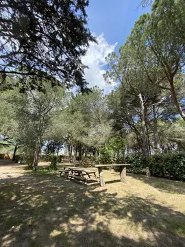 Les Pins