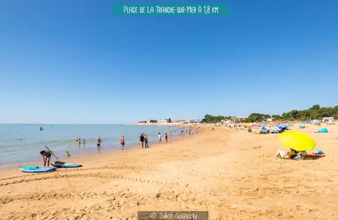 Les blancs chênes