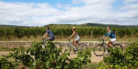 Les Cent Vignes